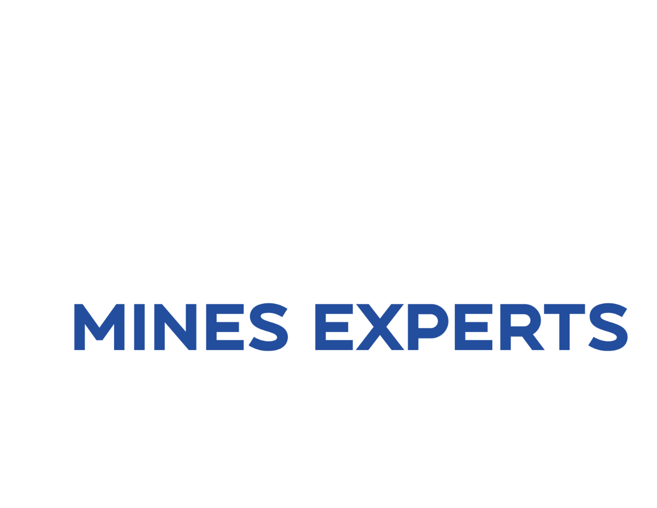 Turgeon Mines Experts
